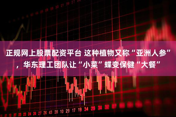 正规网上股票配资平台 这种植物又称“亚洲人参”，华东理工团队让“小菜”蝶变保健“大餐”